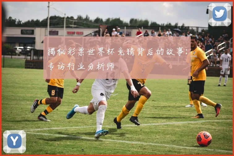 揭秘彩票世界杯竞猜背后的故事：专访行业分析师
