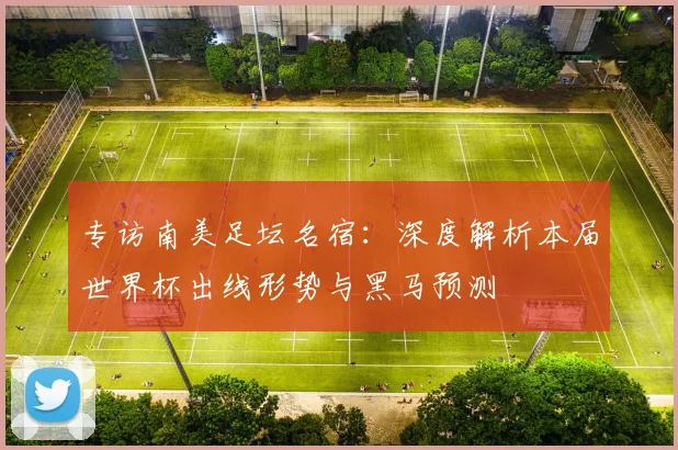 专访南美足坛名宿：深度解析本届世界杯出线形势与黑马预测