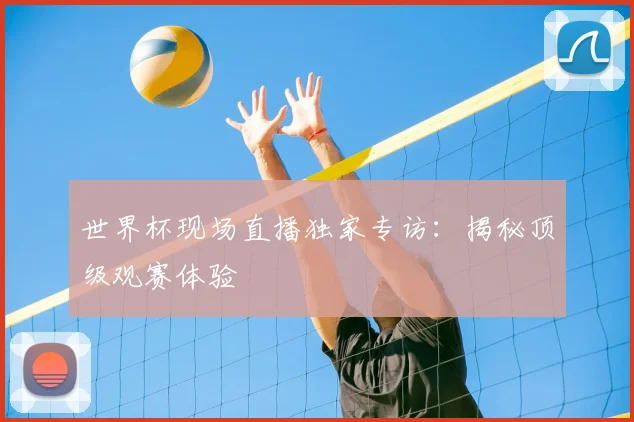 世界杯现场直播独家专访:揭秘顶级观赛体验