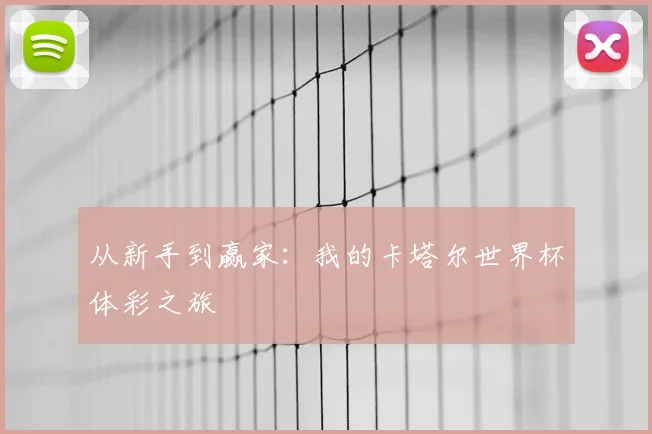 从新手到赢家：我的卡塔尔世界杯体彩之旅