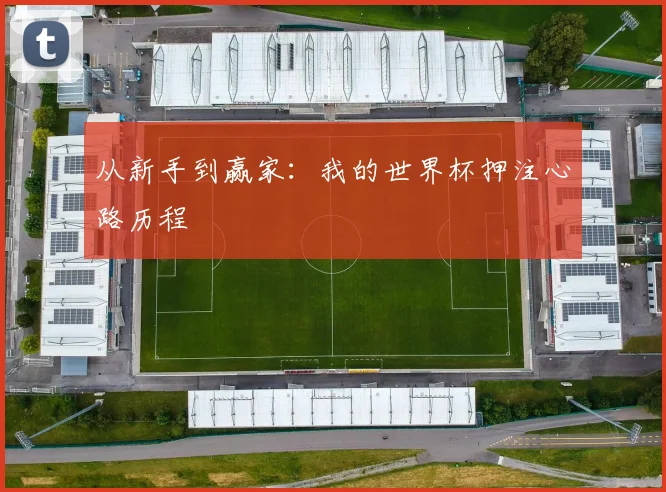 从新手到赢家:我的世界杯押注心路历程
