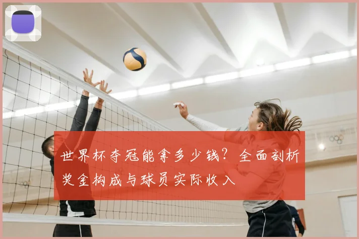 世界杯夺冠能拿多少钱？全面剖析奖金构成与球员实际收入