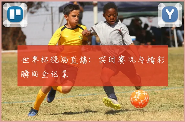 世界杯现场直播:实时赛况与精彩瞬间全记录