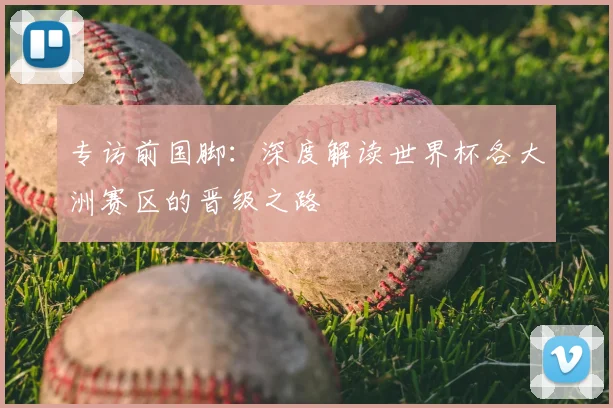 专访前国脚:深度解读世界杯各大洲赛区的晋级之路